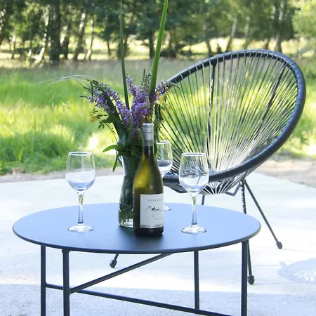 Dom W Brzozach Apartament *