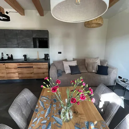 Apartament Dom W Brzozach *