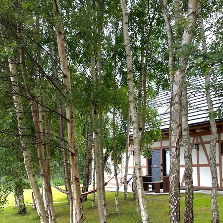 Dom W Brzozach Apartament