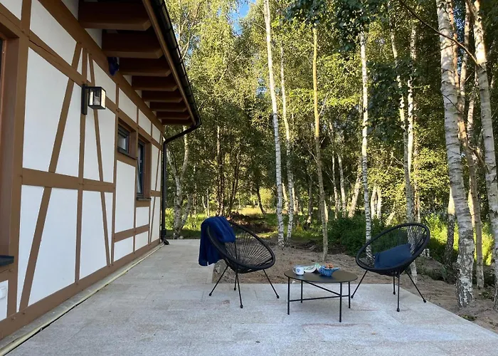 Dom W Brzozach 罗威