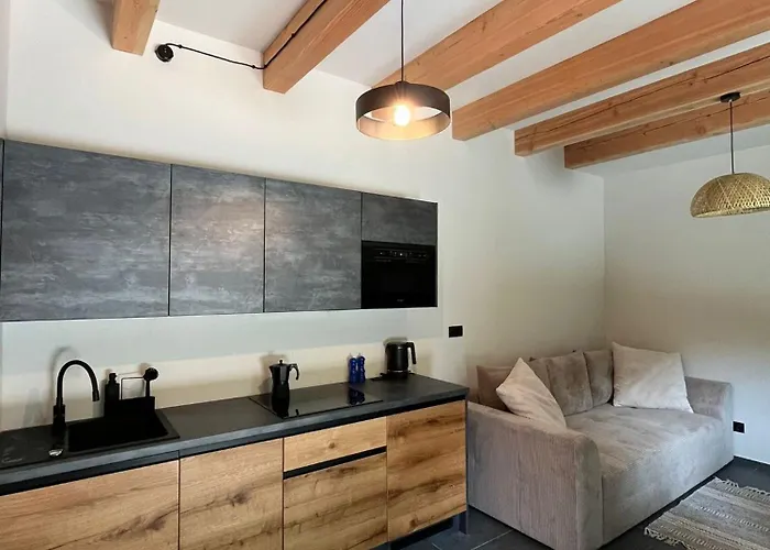 公寓 Dom W Brzozach *