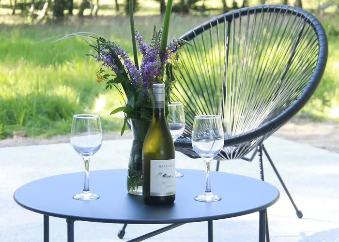 Dom W Brzozach 公寓 *