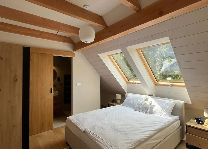 Dom W Brzozach 公寓