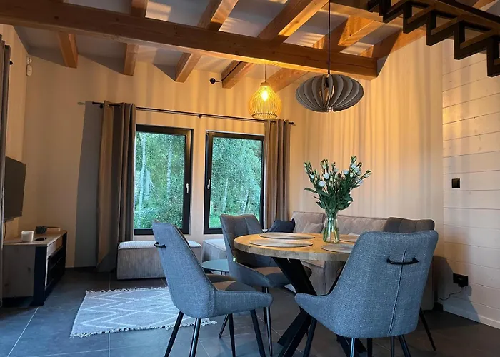 Dom W Brzozach * 罗威