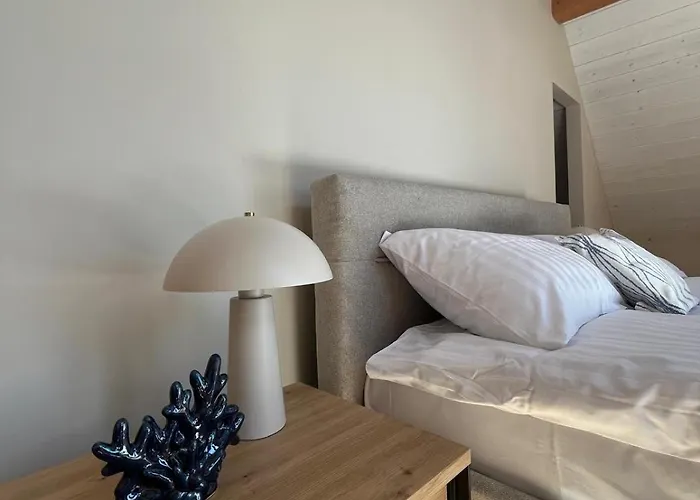 Dom W Brzozach 公寓 罗威