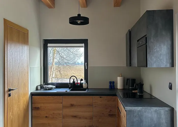 Dom W Brzozach 公寓 *