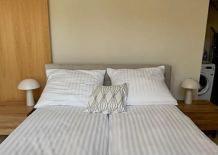 Dom W Brzozach 罗威