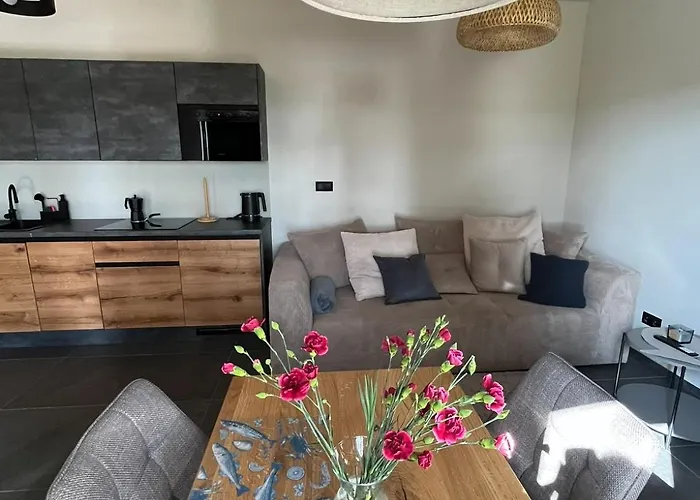 公寓 Dom W Brzozach *