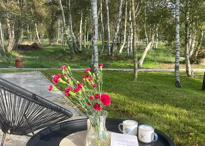 Dom W Brzozach * 罗威