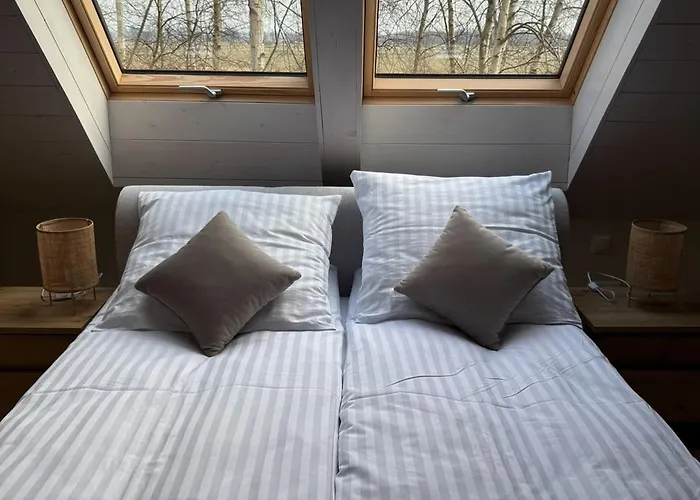 Dom W Brzozach 公寓 *